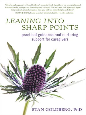 cover image of Leaning into Sharp Points
